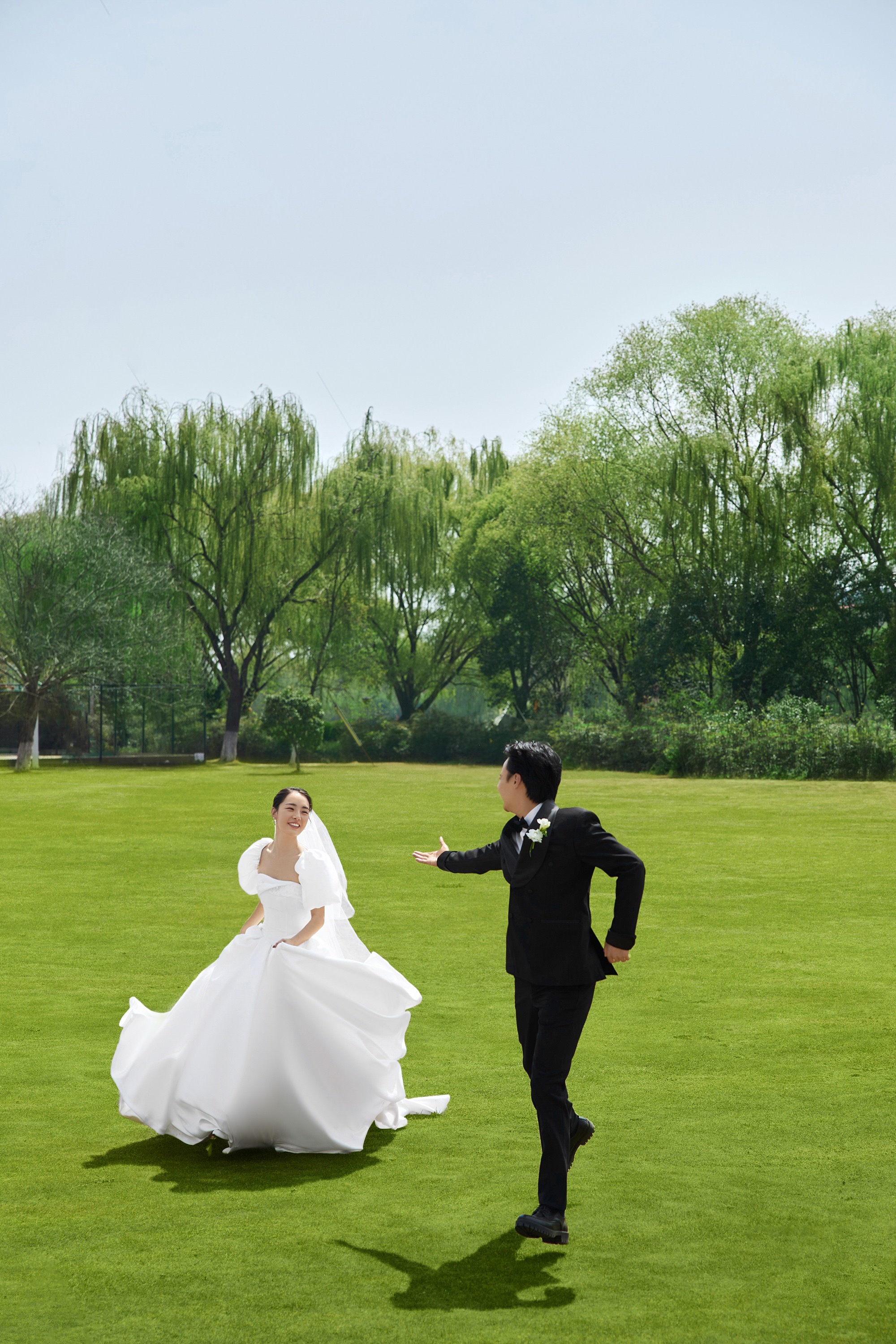 白纱森系草坪婚纱照